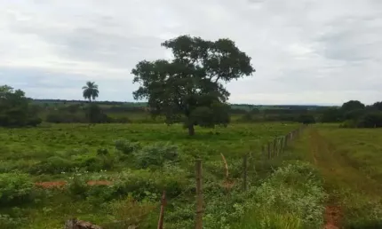 Fazenda à venda no Centro, Fronteira 