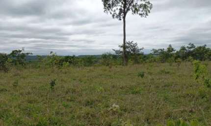 FAZENDA INCRÍVEL EM CAMAPUÃ/MS - EXCELENTE OPORTUNIDADE DE INVESTIMENTO!