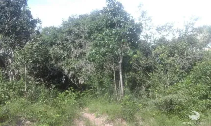Fazenda à venda no Setor Central, Lizarda 