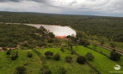 FAZENDA INCRÍVEL COM ÓTIMA INFRAESTRUTURA - EXCELENTE OPORTUNIDADE DE NEGÓCIO!