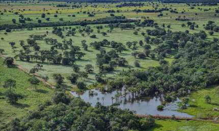 FAZENDA EXCELENTE COM ÓTIMA INFRAESTRUTURA EM RIBAS DO RIO PARDO/MS