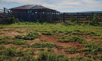 Fazenda à venda no Centro, Jaíba 
