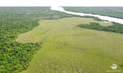 FAZENDA INCRÍVEL RIQUÍSSIMA EM HIDROGRAFIA- CAMETÁ/PA