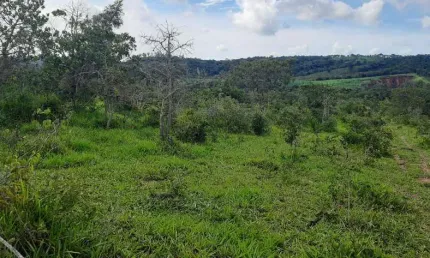 Fazenda à venda no Centro, Formiga 