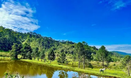 FAZENDA CHARMOSA COM VISTA DESLUMBRANTE EM JOANÓPOLIS/SP