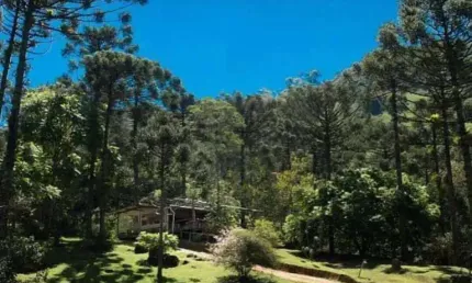 Locação de Trutário com Restaurante e Cachoeiras – 1.400m de Altitude em São Francisco Xavier