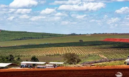 Fazenda à venda no Centro, Augusto de Lima 