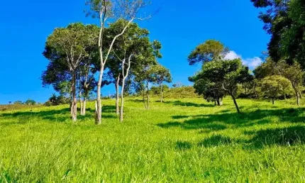 LINDO SÍTIO COM RIO ENCACHOEIRADO NA SERRA DA BOCAINA