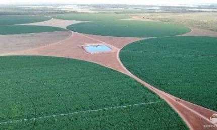 FAZENDA IMPERDÍVEL COM EXCELENTE INFRAESTRUTURA EM PARACATU/MG