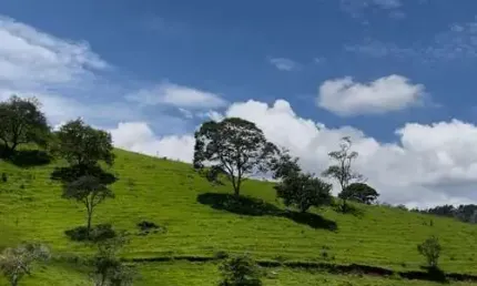 TERRENO INCRÍVEL NO CORAÇÃO DA SERRA DA MANTIQUEIRA