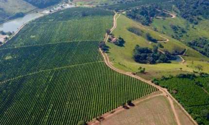 FAZENDA ESPETACULAR À VENDA NA REGIÃO DE OURO FINO/MG