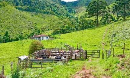 Fazenda à venda no Centro, Cunha 
