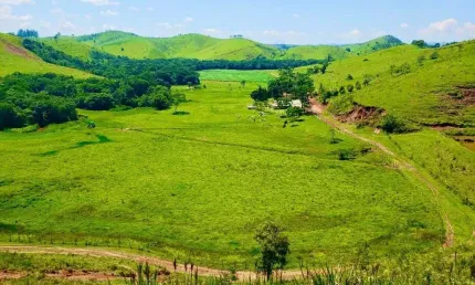 Fazenda à venda no Centro, Cunha 