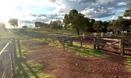 Fazenda à venda no Setor Central, Sandolândia 