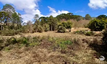 Terreno à venda no Centro, Gonçalves 