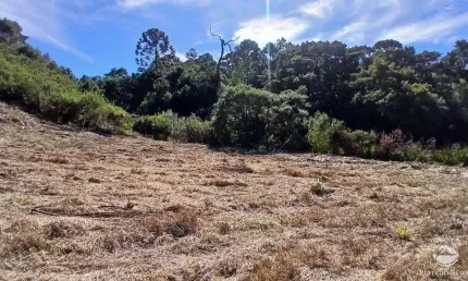 Chácara / sítio com 1 quarto à venda no Centro, Gonçalves 