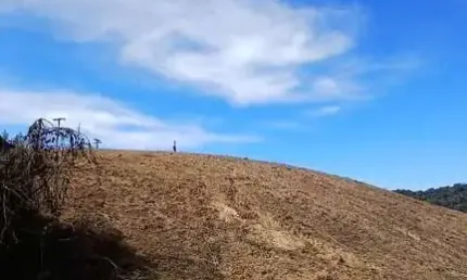 Chácara / sítio com 1 quarto à venda no Centro, Gonçalves 