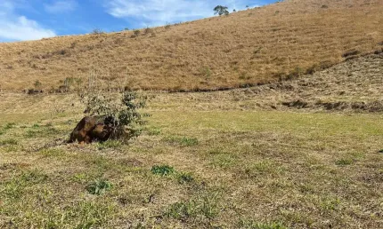 Terreno à venda no Centro, Santo Antônio do Pinhal 