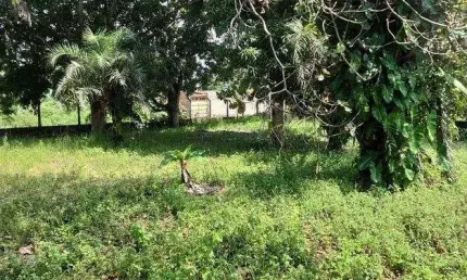 Lote à venda em rua pública, CENTRO, São Cristóvão, SE