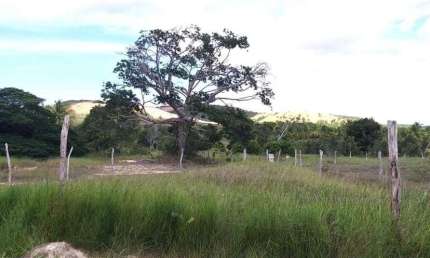 Lote à venda em rua pública, CAUEIRA, Itaporanga d'Ajuda, SE