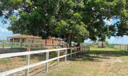 Lote à venda em rua pública, CENTRO, São Cristóvão, SE