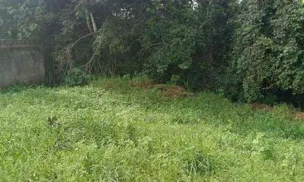 Terreno à venda na Rua Maria Salete de Araújo Oliveira, 68, Antares, Maceió