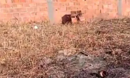 Terreno à venda na Avenida Principal, 115, Robalo, Aracaju