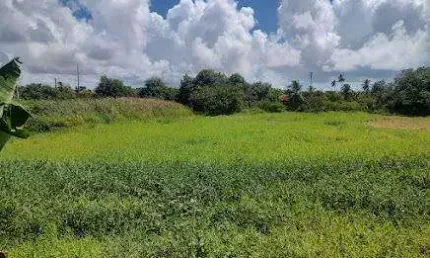 Terreno à venda na Rodovia dos Náufragos, 813, Robalo, Aracaju