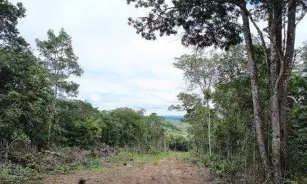 Terreno em condomínio fechado à venda na Estrada Plameiras - Caeté-açu, Caeté -Açu, Palmeiras
