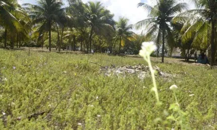 Lote à venda em rua pública, ZONA DE EXPANSÃO (ARUANDA), Aracaju, SE