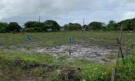 Lote à venda no RUA DO GRITO - GOIANA, PE , CENTRO , Goiana, PE