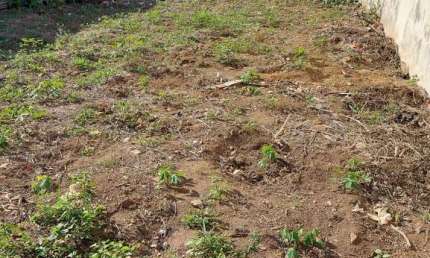 Terreno com 297,62m², plano, perto de comércios e residências, rua com muito movimento, excelente localização