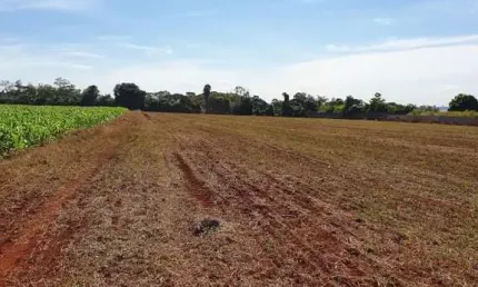 Chácara / sítio com 1 quarto à venda no Gleba Fazenda Palhano, Londrina 