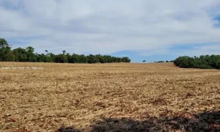 Chácara / sítio com 1 quarto à venda no Água Das Abóboras, Ibiporã 