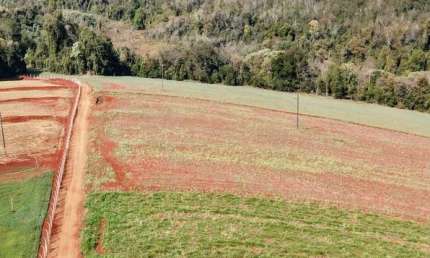 Chácara / sítio com 1 quarto à venda na Área Rural de Cambé, Cambé 