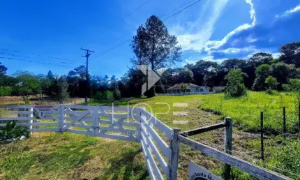 Chácara / sítio com 3 quartos à venda no Lambari, Sapopema 