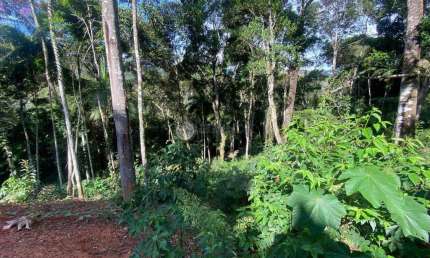 Terreno à venda na Rodovia Santos Dumont, Prata, Teresópolis