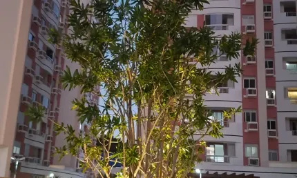 Apartamento 2 dormitórios, 1 garagem, Barreiros, Melhor Preço!
