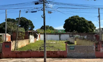 Terreno à venda  rua chile, 1147  jardim alvorada, maringá/pr