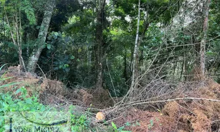 Terreno à venda no Retiro Das Palmeiras, Miguel Pereira 
