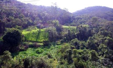 Fazenda em Sacra Família do Tinguá - Engenheiro Paulo de Frontin, RJ