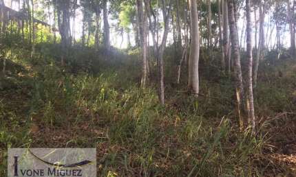 Terreno em Recanto Dos Eucaliptos  -  Paty do Alferes