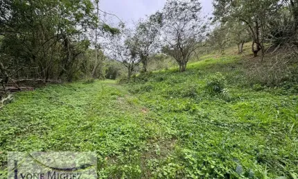 Terreno à venda no Barão de Javary, Miguel Pereira 