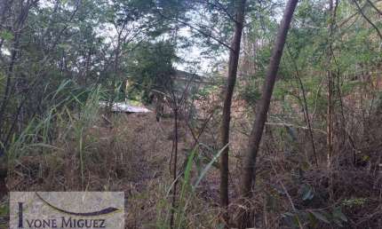 Terreno à venda em Avelar, Paty do Alferes 