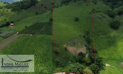 Chácara / sítio à venda em Guaribú, Paty do Alferes 
