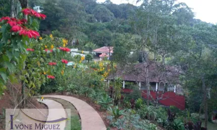 Chácara / sítio com 6 quartos à venda em Palmares, Paty do Alferes 