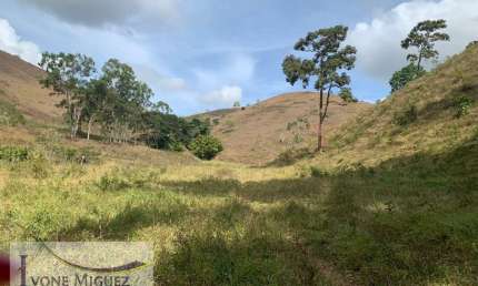Chácara / sítio à venda em Sebollas, Paraíba do Sul 