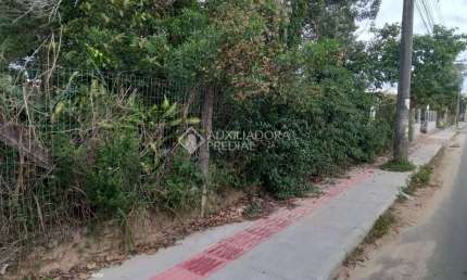 Terreno comercial para alugar na Geral Do Rosa - Ibiraquera, 002, Praia do Rosa, Imbituba, 4900 m2 por R$ 12.000