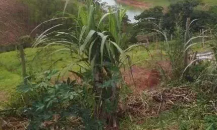 Chácara / sítio à venda na Avenida Eliane Maria Barbiere Soares, Cidade Morumbi, São José dos Campos