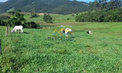 Fazenda à venda na Estrada Geral Aratingaúba, Aratingauba, Imaruí